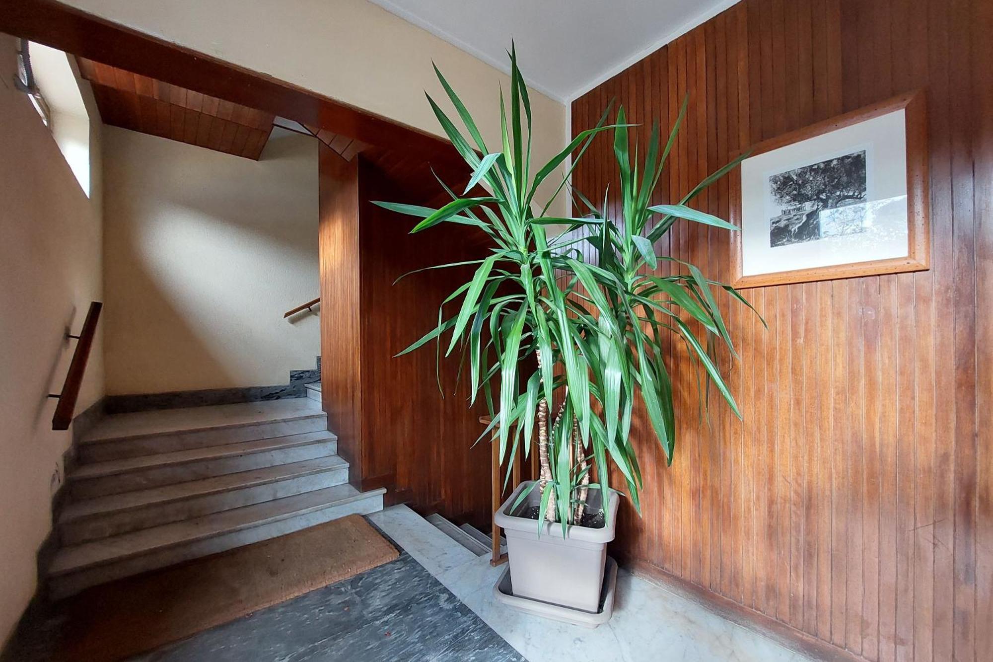 San Pietro'S Flat Lägenhet Rom Exteriör bild
